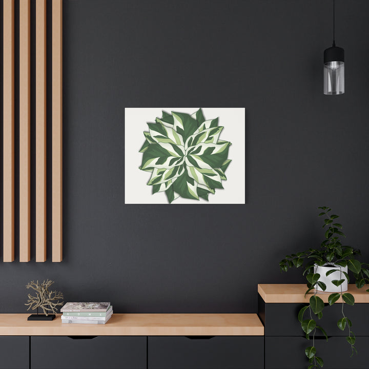Calathea White Fusion Canvas Botanical Art Print On Stretched Cotton Canvas For Indoor Wall Decor