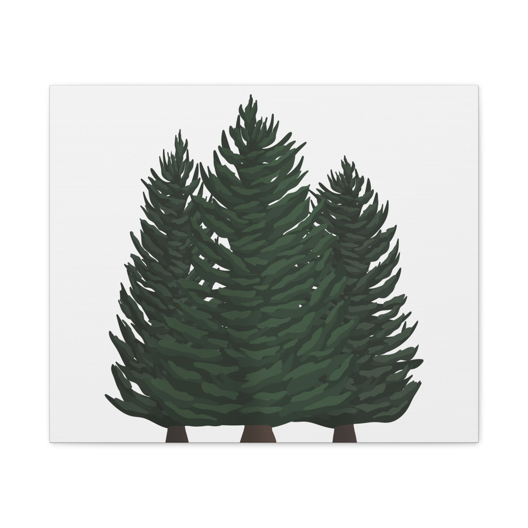 Douglas Fir Canvas Print – Wall Art