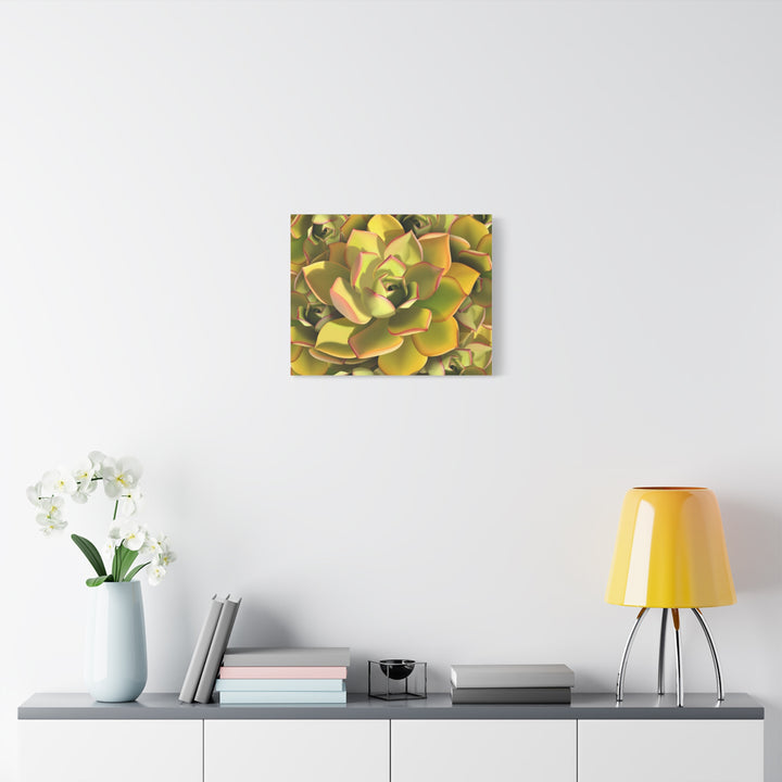 Succulent Canvas Art Vibrant Aeonium Print On Matte Canvas Wall Decor 12x18 Inches Indoor Home