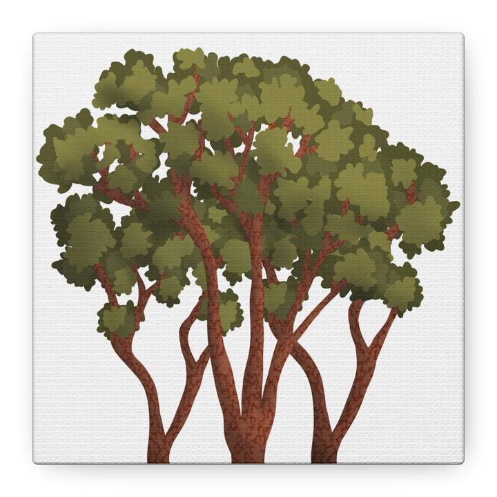 Pacific Madrone Canvas Print – Wall Art
