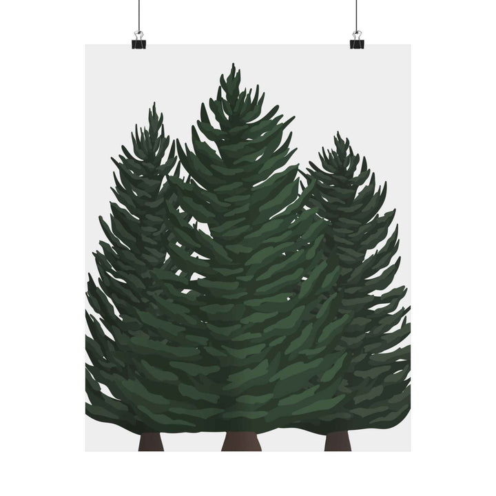 Douglas Fir Print – Unframed Wall Art