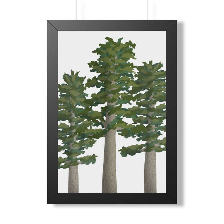 Sitka Spruce Framed Print – Wall Art