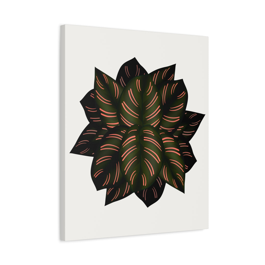 Calathea Pinstripe Canvas Botanical Wall Art Print On Stretched Cotton Canvas For Living Room Decor