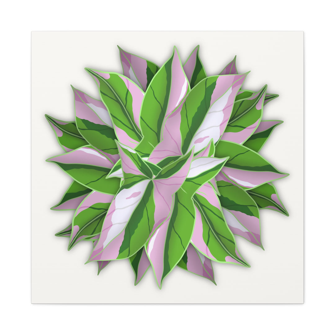 Syngonium Tricolor Canvas Print – Botanical Wall Art - The Potted Pixel
