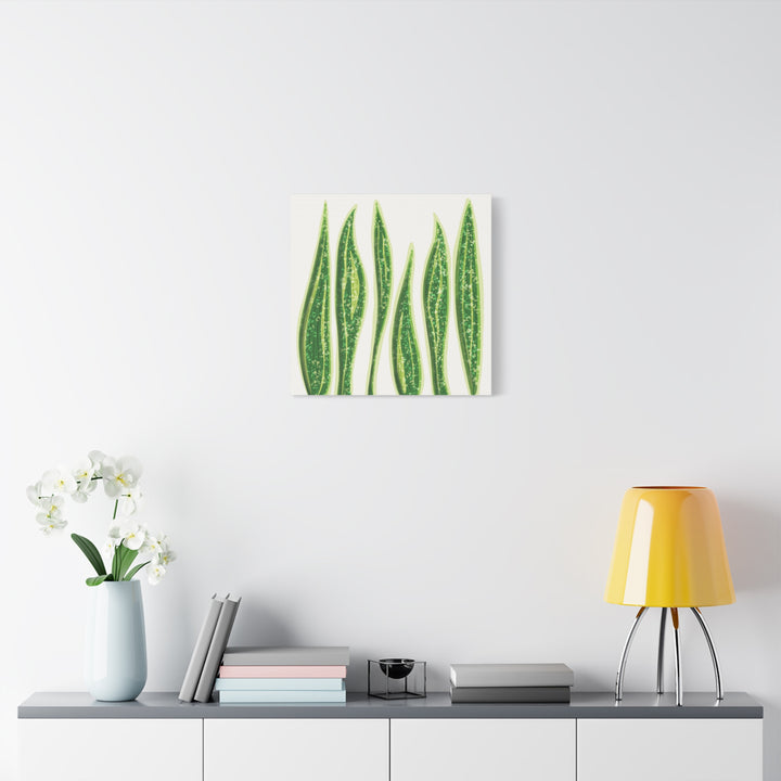 Snake Plant Canvas Print Matte 1.25 Inch Stretch Canvas Wall Art For Living Room Decor