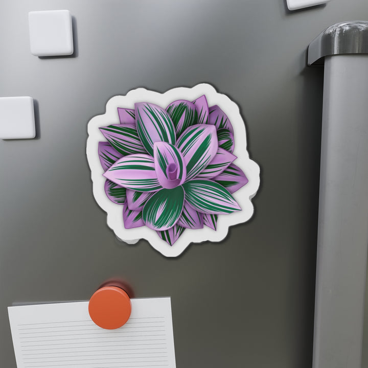 Tradescantia Nanouk Magnet