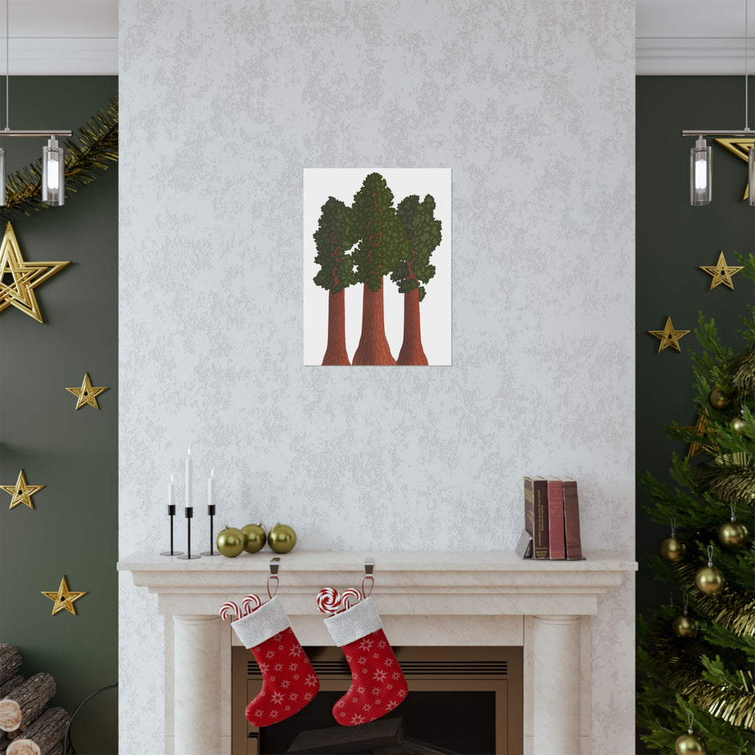 Giant Sequoias Print – Unframed Wall Art