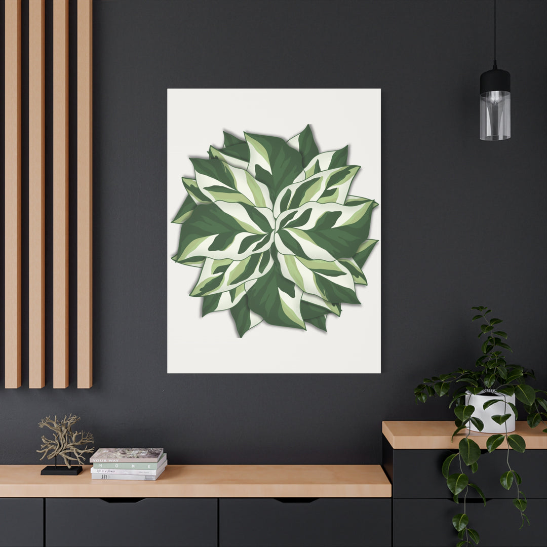 Calathea White Fusion Canvas Botanical Art Print On Stretched Cotton Canvas For Indoor Wall Decor