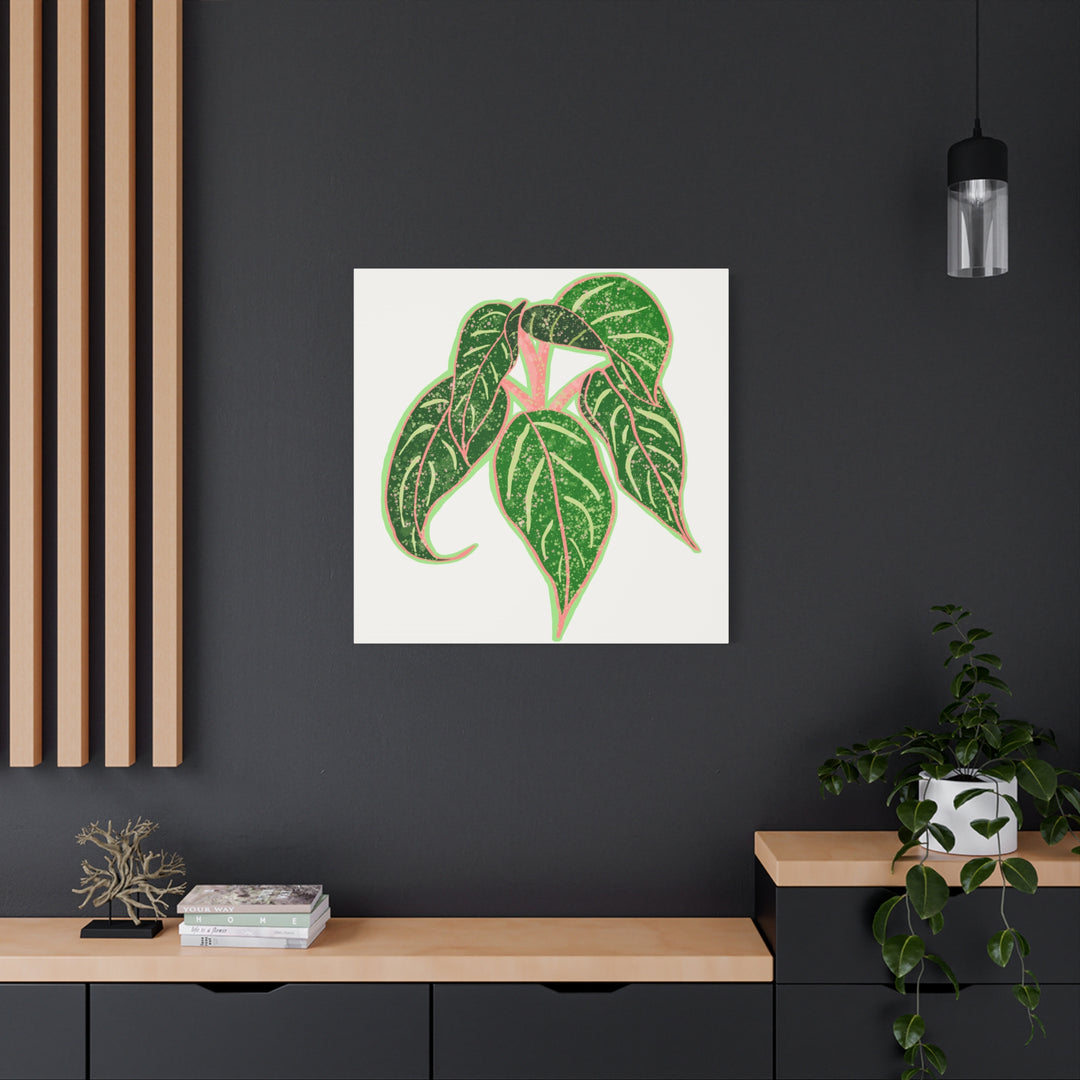 Aglaonema Sparkling Sarah Botanical Canvas Print On Matte Stretch Canvas For Modern Living Room Decor