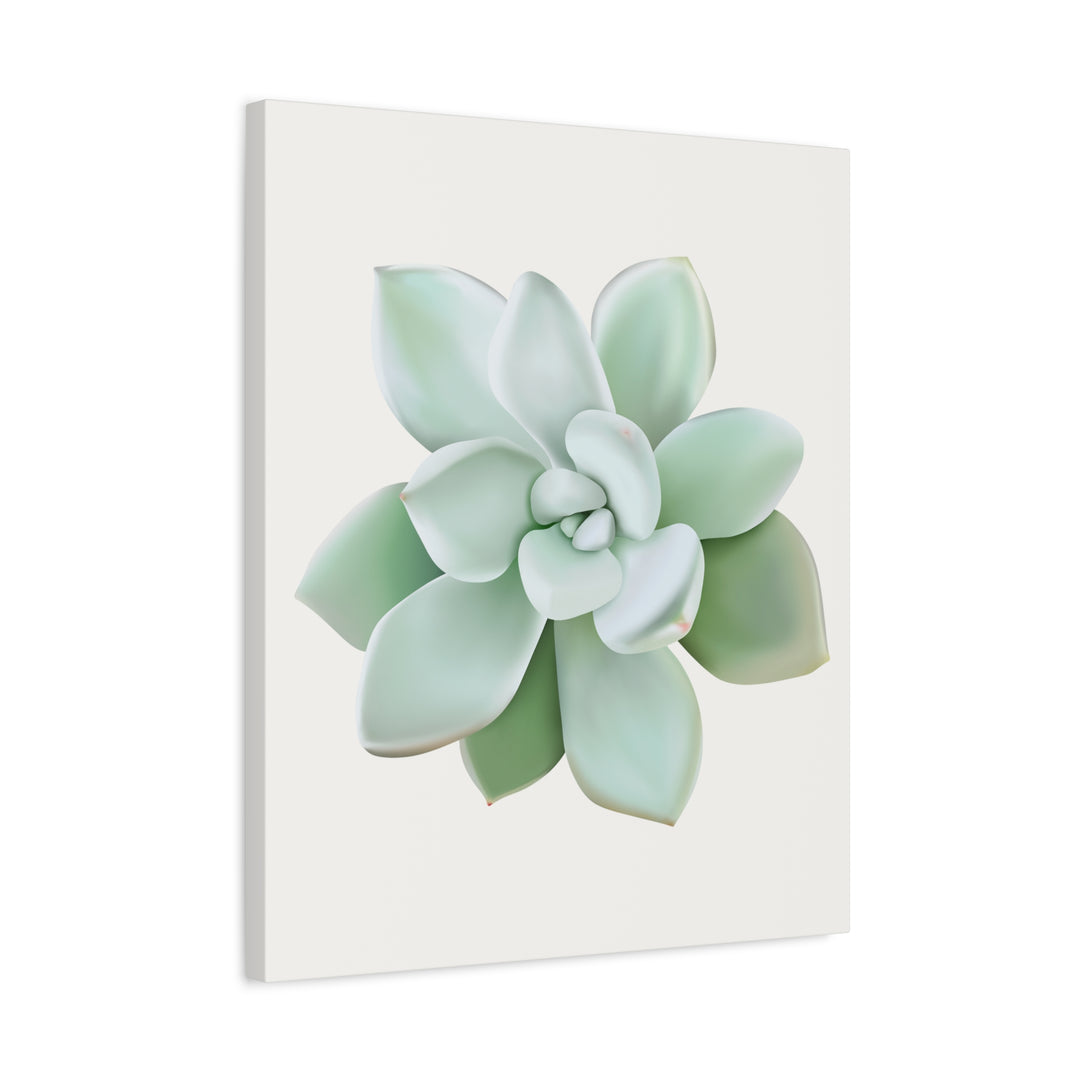 Succulent Canvas Art Pachyveria Haagei Print On Matte Finish Canvas Botanical Wall Decor