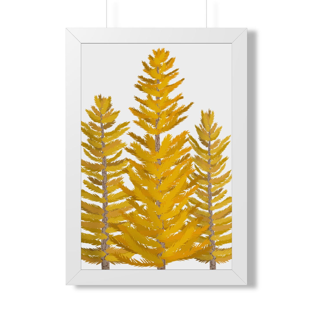 Western Larch Framed Print – Wall Art
