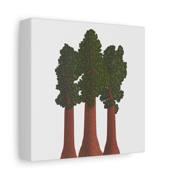 Giant Sequoias Canvas Print – Wall Art