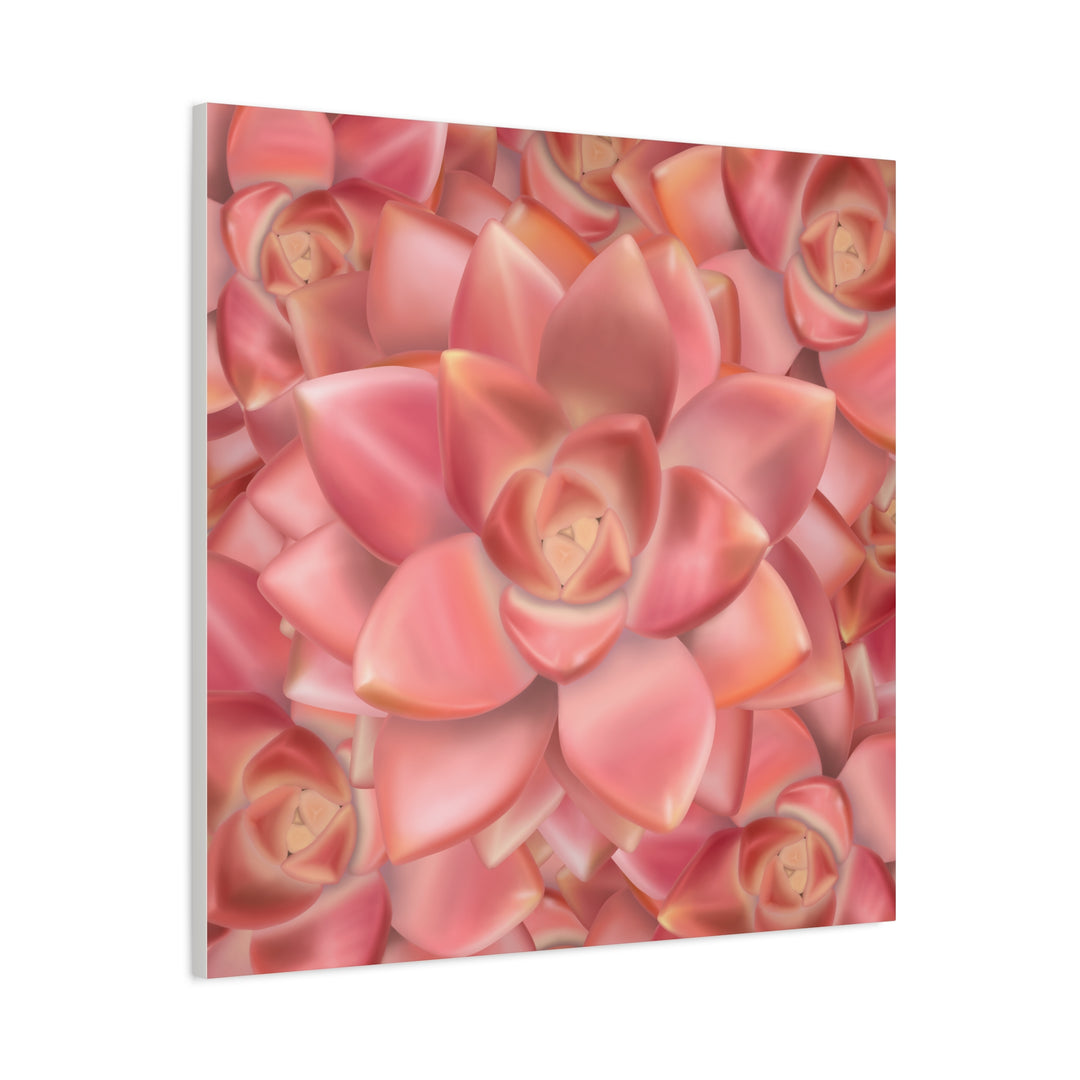Graptosedum California Sunset Succulent Canvas Print – Botanical Wall Art - The Potted Pixel