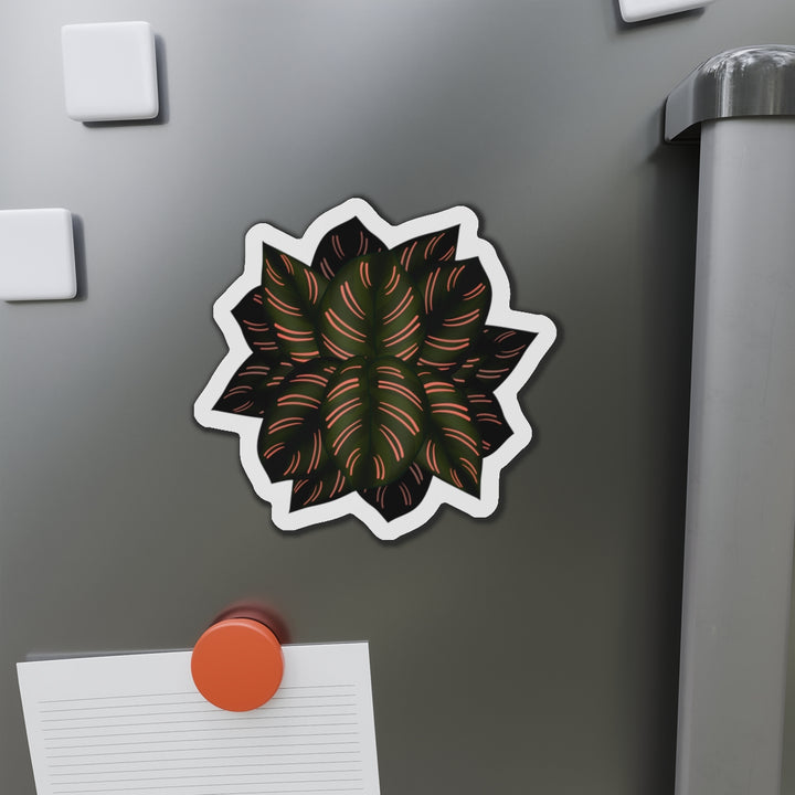 Calathea Pinstripe Magnet