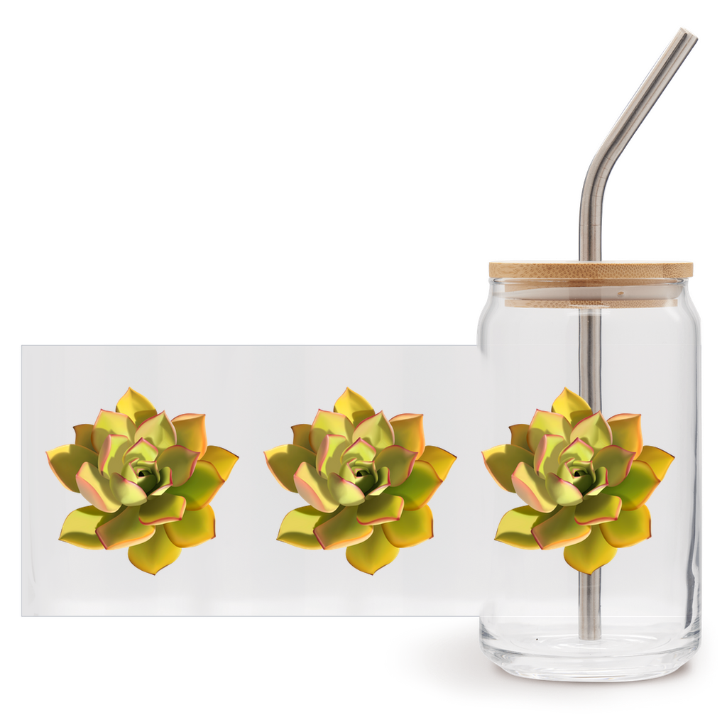 Noble Aeonium Succulent Soda Can Glass – 16 oz Tumbler With Bamboo Lid And Straw