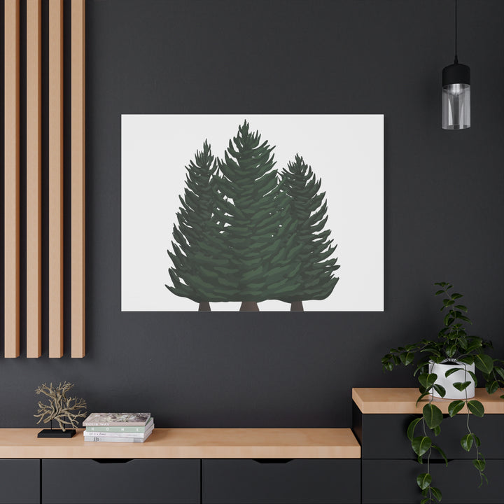 Douglas Fir Canvas Print – Wall Art
