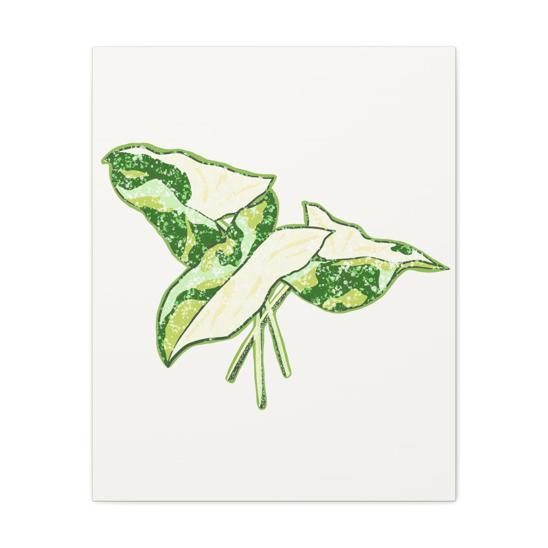 Marble Syngonium Canvas Botanical Wall Art Stretched Print On Durable Cotton Canvas Matte Finish