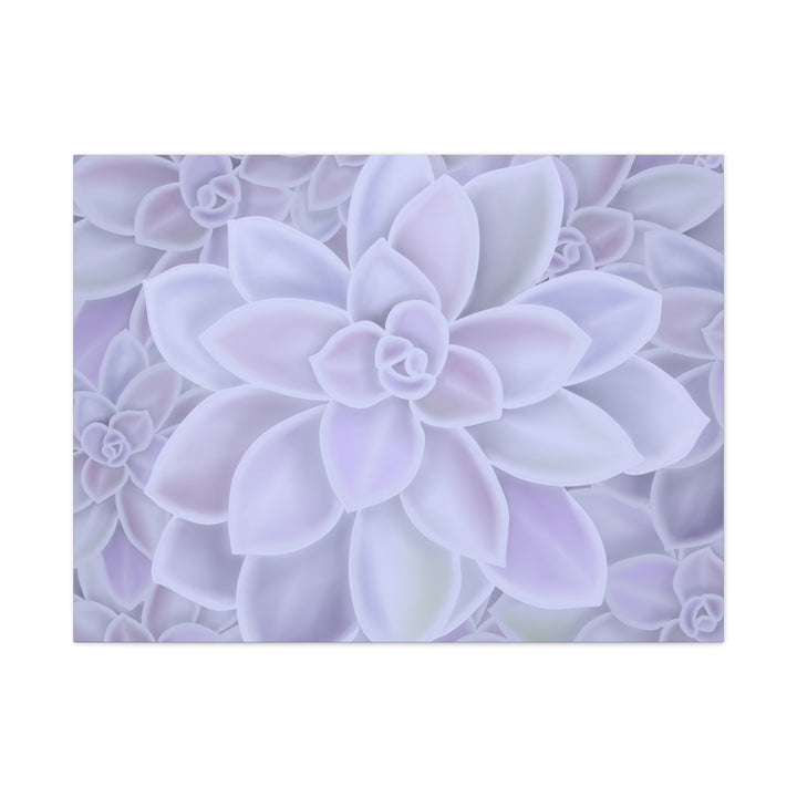 Graptopetalum Murasaki Succulent Canvas Art Print Pastel Purple Rosette Indoor Plant Decor