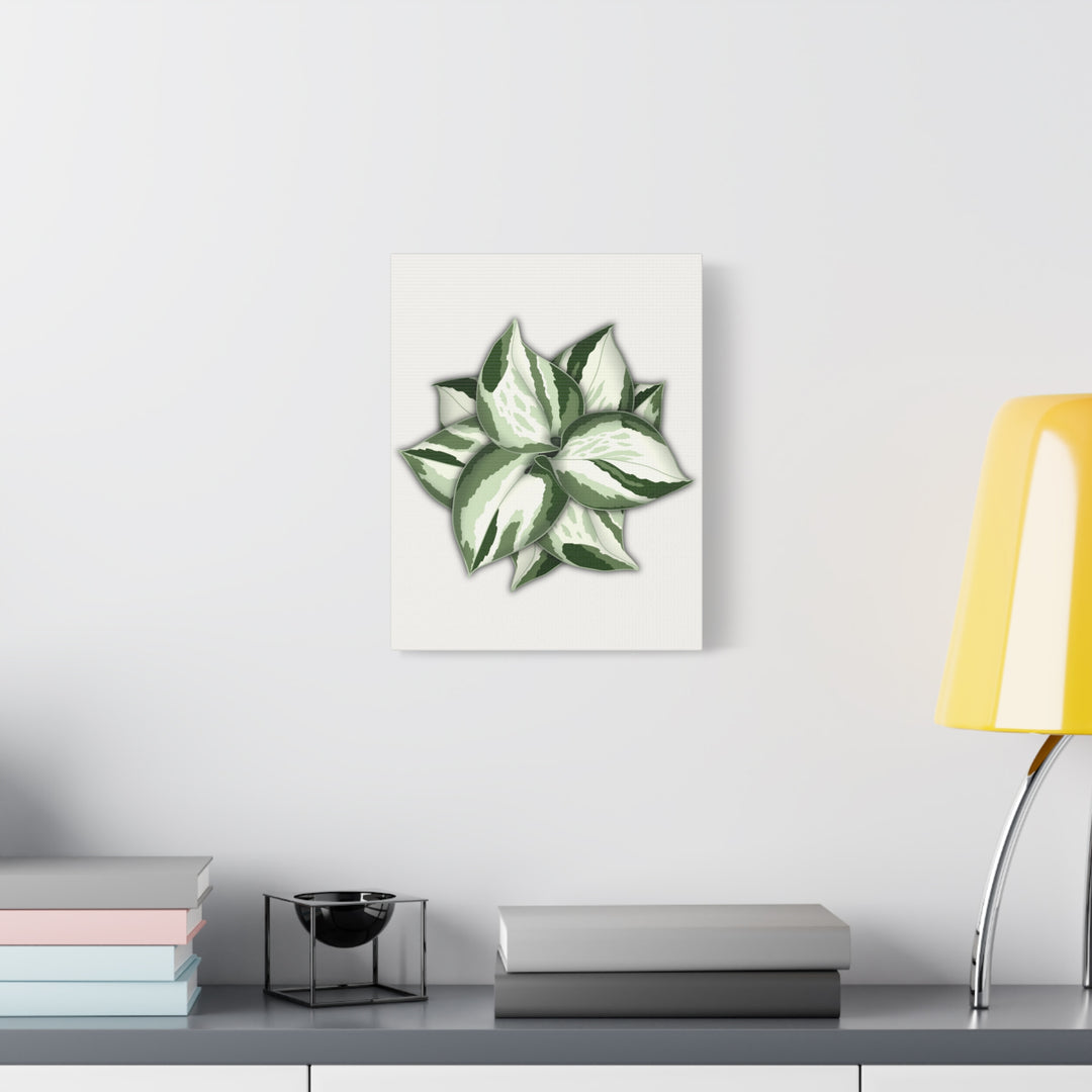 Manjula Pothos Canvas Print Stretched Matte Canvas Wall Art For Living Room And Office
