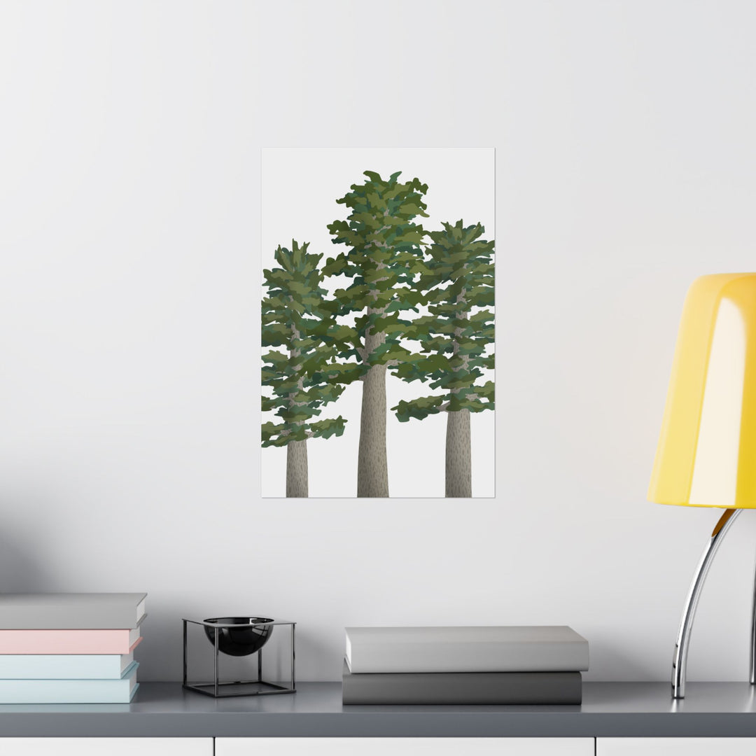 Sitka Spruce Print – Unframed Wall Art