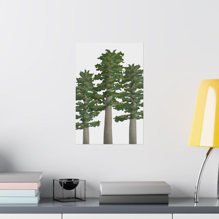 Sitka Spruce Print – Unframed Wall Art