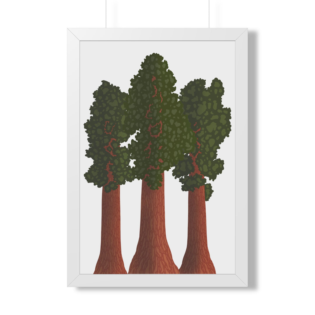 Giant Sequoias Framed Print – Wall Art