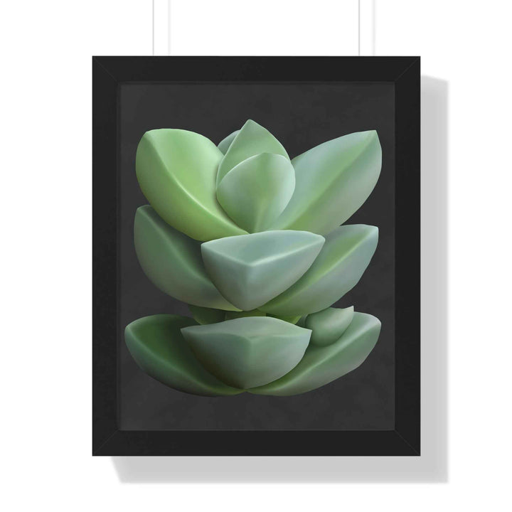 Crassula Succulent Framed Poster Vertical Botanical Wall Art