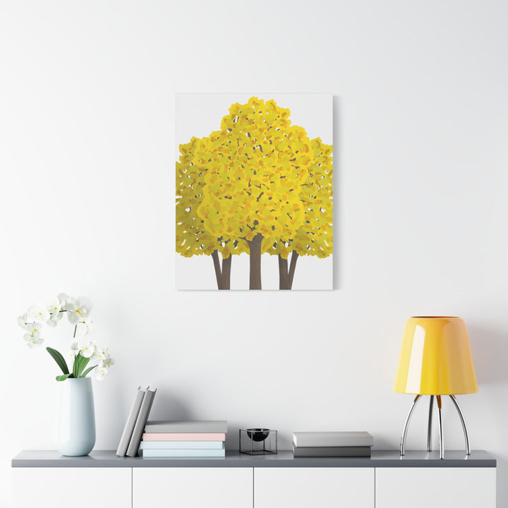 Big Leaf Maple Canvas Print – Wall Art