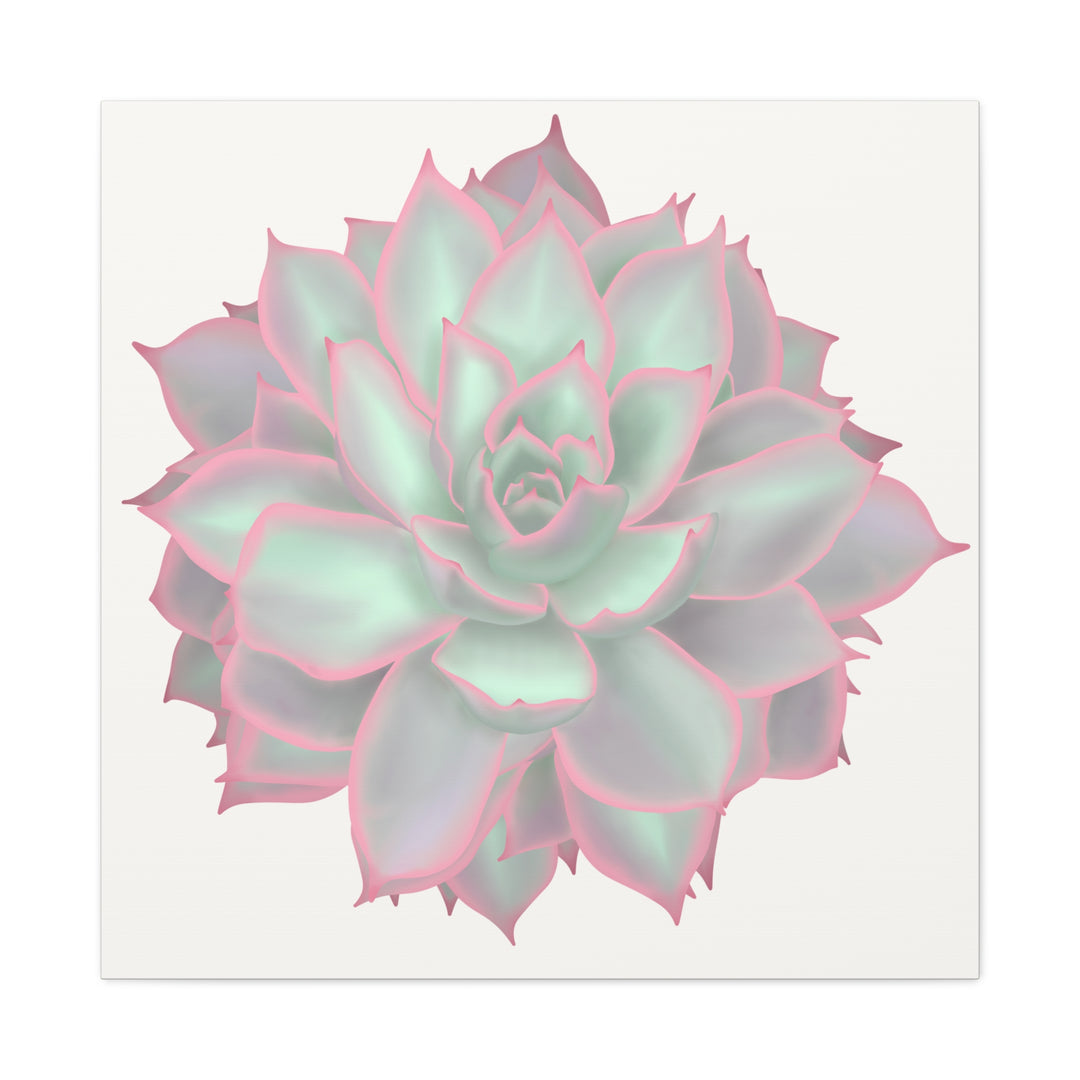 Echeveria Violet Queen Canvas Wall Art Rosette Succulent Print With Matte Finish