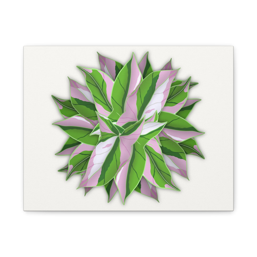 Syngonium Tricolor Canvas Print – Botanical Wall Art - The Potted Pixel
