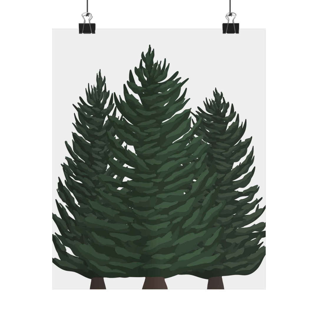 Douglas Fir Print – Unframed Wall Art