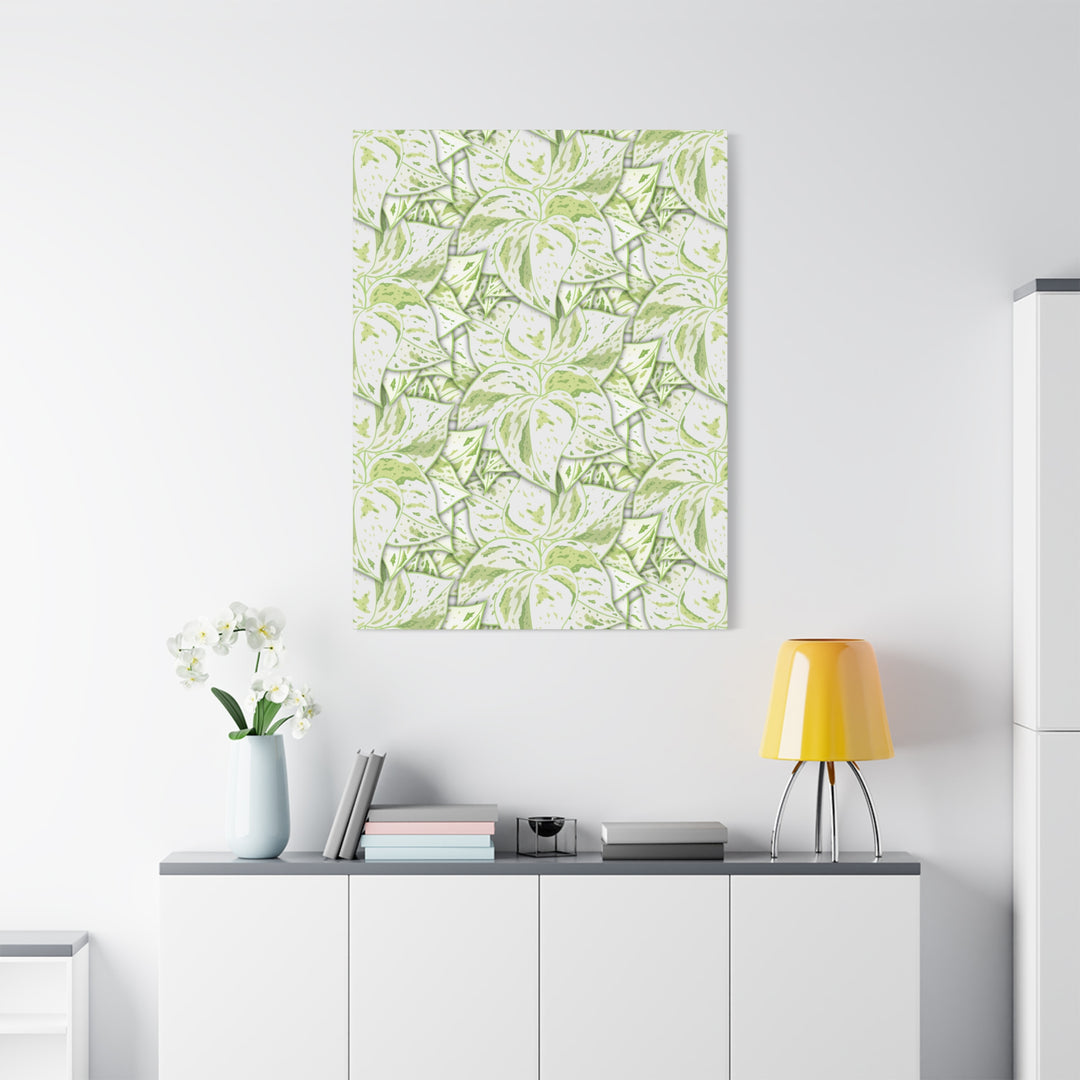 Snow Queen Pothos Canvas Print With Variegated White Leaves In Matte Finish For Modern Home Decor