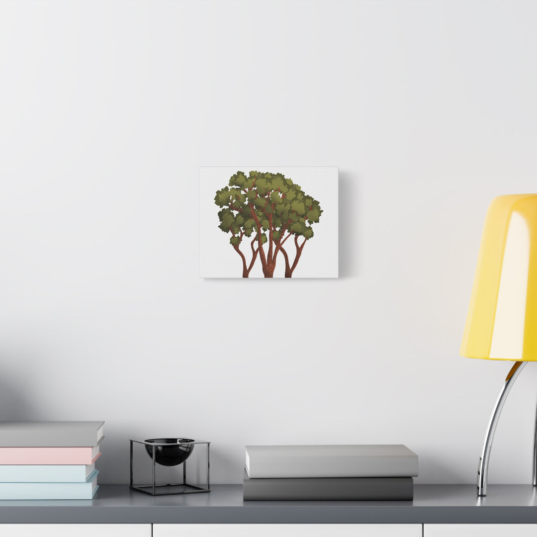 Pacific Madrone Canvas Print – Wall Art