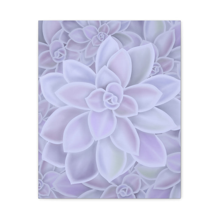 Graptopetalum Murasaki Succulent Canvas Art Print Pastel Purple Rosette Indoor Plant Decor