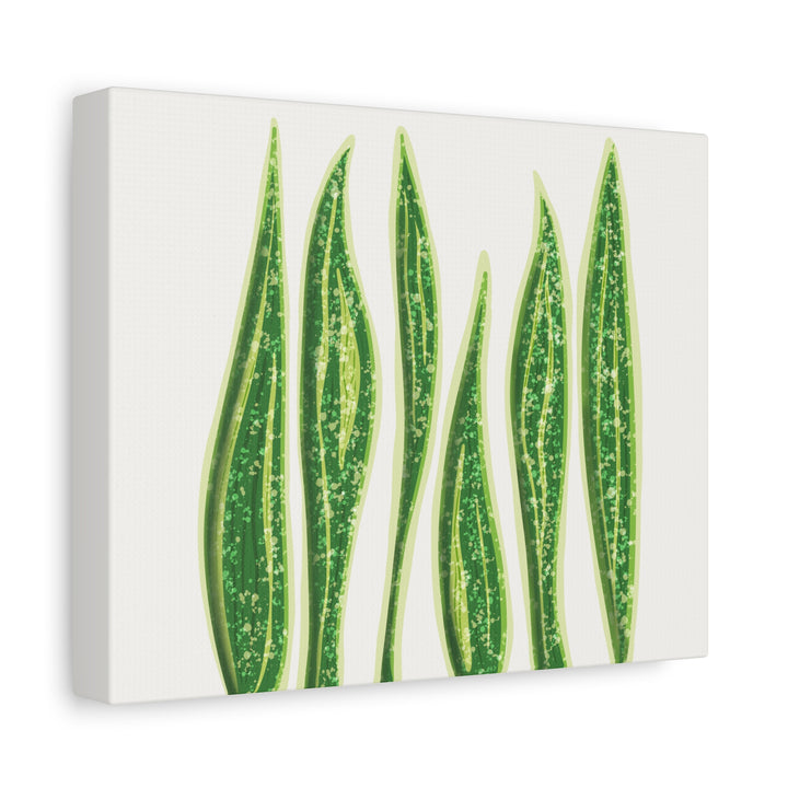 Snake Plant Canvas Print Matte 1.25 Inch Stretch Canvas Wall Art For Living Room Decor