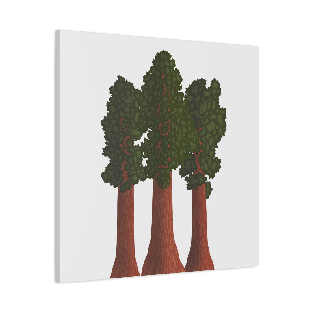 Giant Sequoias Canvas Print – Wall Art