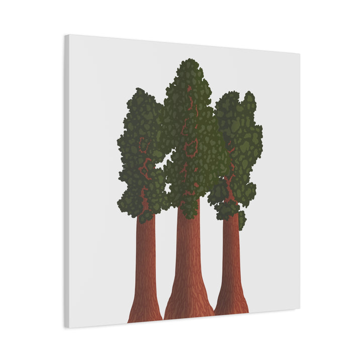 Giant Sequoias Canvas Print – Wall Art