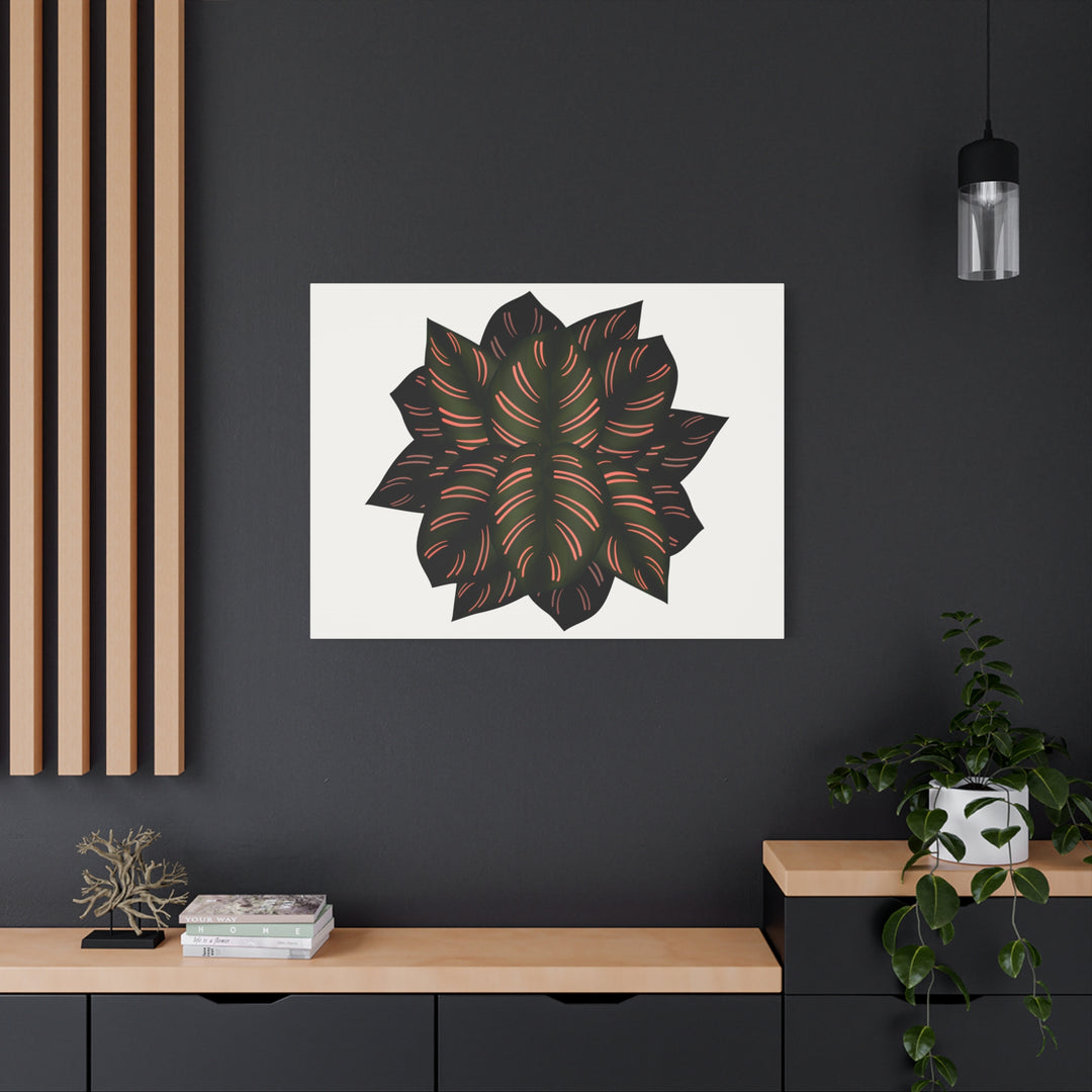 Calathea Pinstripe Canvas Botanical Wall Art Print On Stretched Cotton Canvas For Living Room Decor