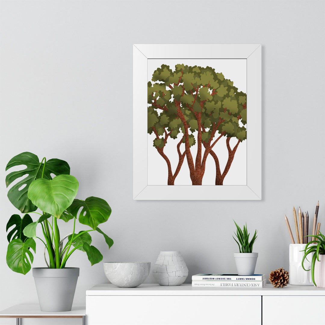 Pacific Madrone Framed Print – Wall Art