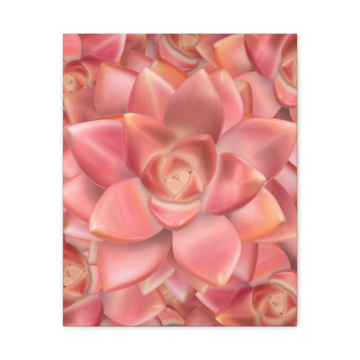 Graptosedum California Sunset Succulent Canvas Print – Botanical Wall Art - The Potted Pixel