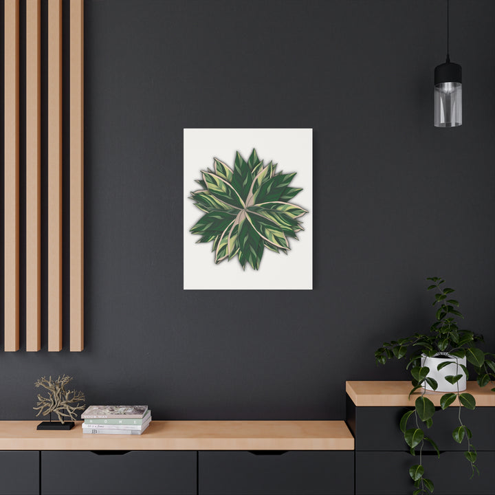 Stromanthe Triostar Canvas Wall Art Premium Matte Finish On Durable 1.25 Inch Frame For Vibrant Indoor Tropical Decor