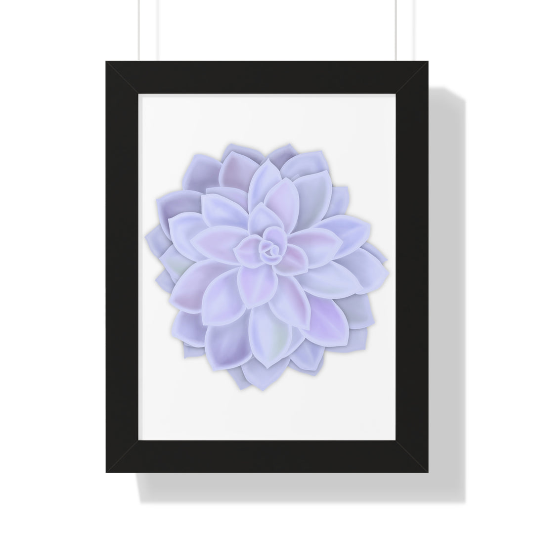 Graptopetalum Murasaki Succulent Framed Print – Botanical Wall Art - The Potted Pixel