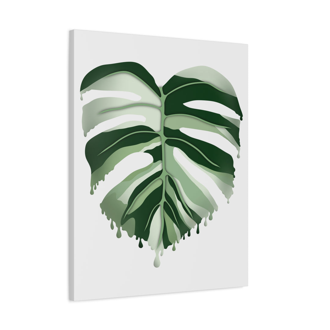 Melting Monstera Albo Canvas Large Indoor Wall Art Print Matte Finish Tropical Home Decor