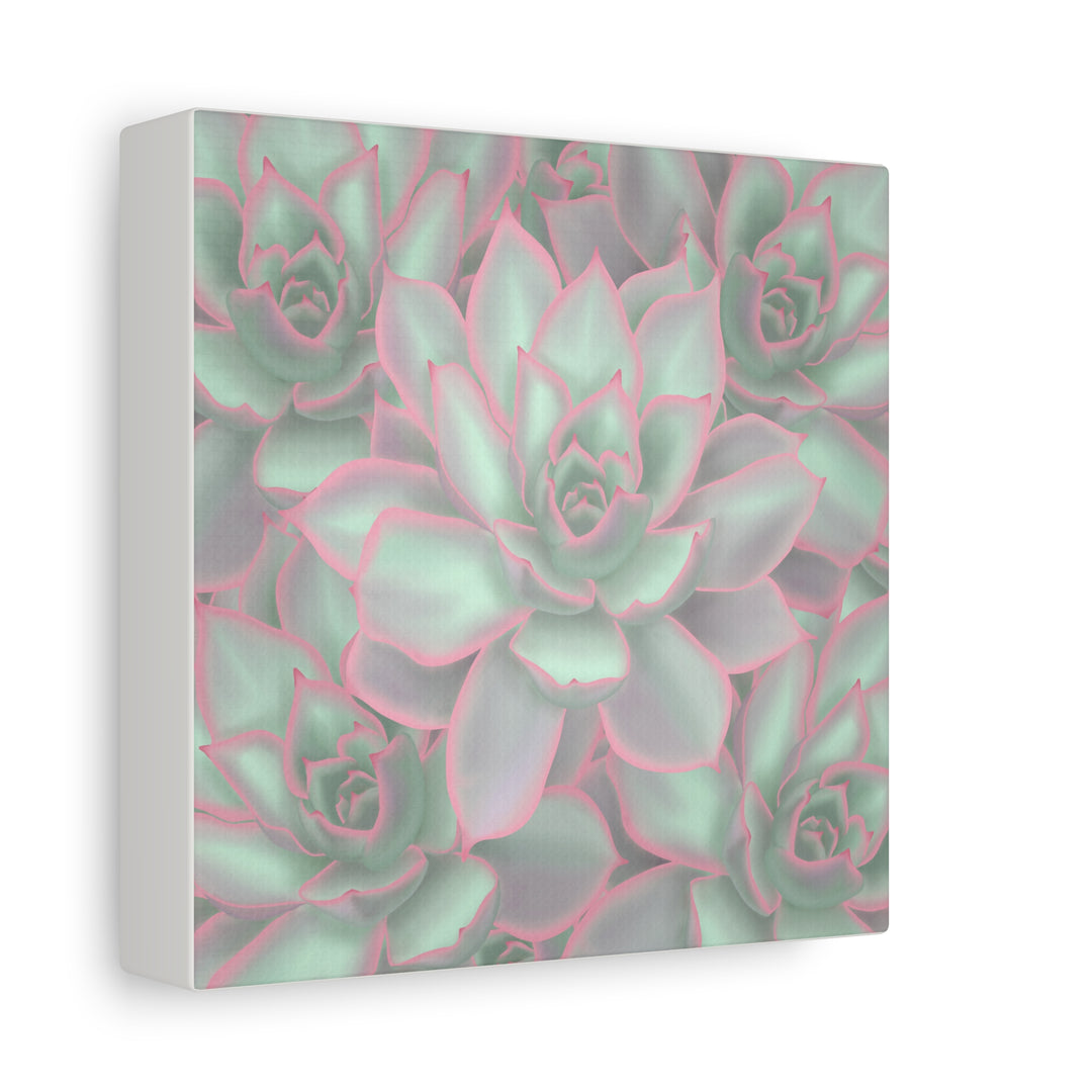 Echeveria Violet Queen Canvas Wall Art Succulent Print Matte Botanical Decor For Indoor Spaces