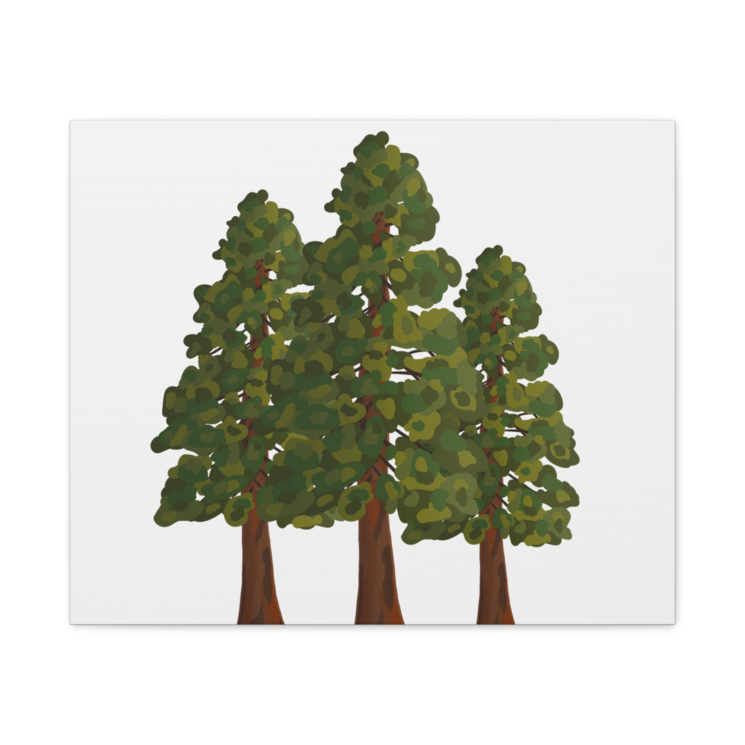 Coastal Redwoods Matte Canvas Print On 1.25 Inch Stretched Canvas For Serene Forest Wall Art In Living Rooms