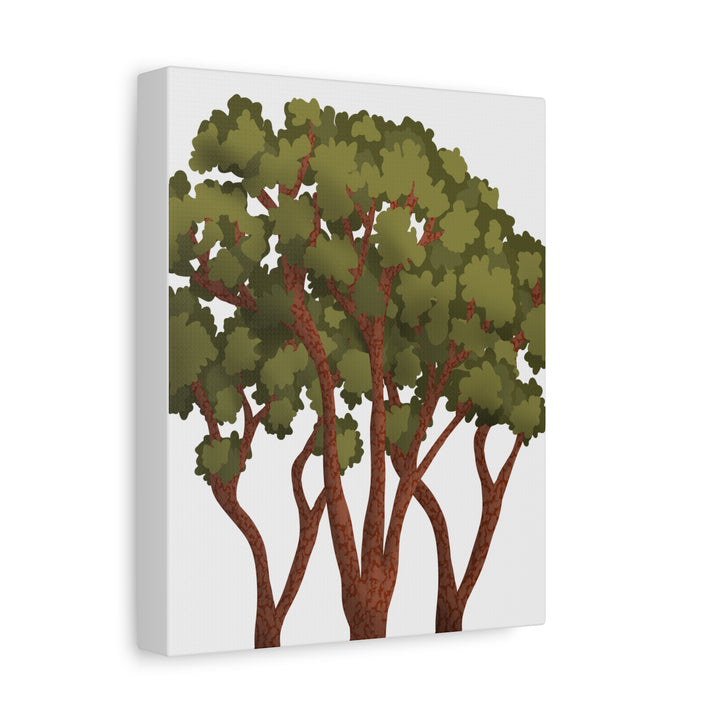 Pacific Madrone Canvas Print – Wall Art