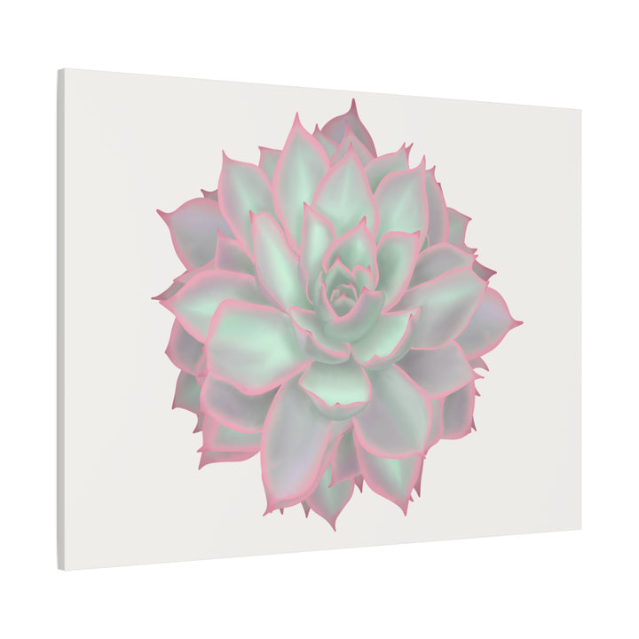 Echeveria Violet Queen Canvas Wall Art Rosette Succulent Print With Matte Finish