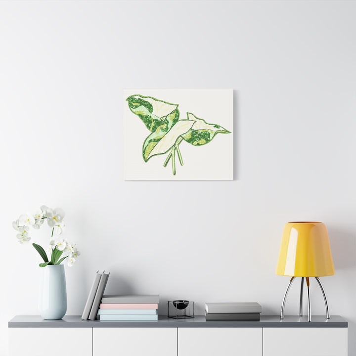 Marble Syngonium Canvas Botanical Wall Art Stretched Print On Durable Cotton Canvas Matte Finish