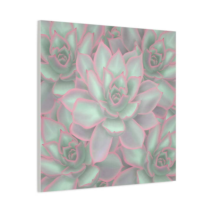Echeveria Violet Queen Canvas Wall Art Succulent Print Matte Botanical Decor For Indoor Spaces