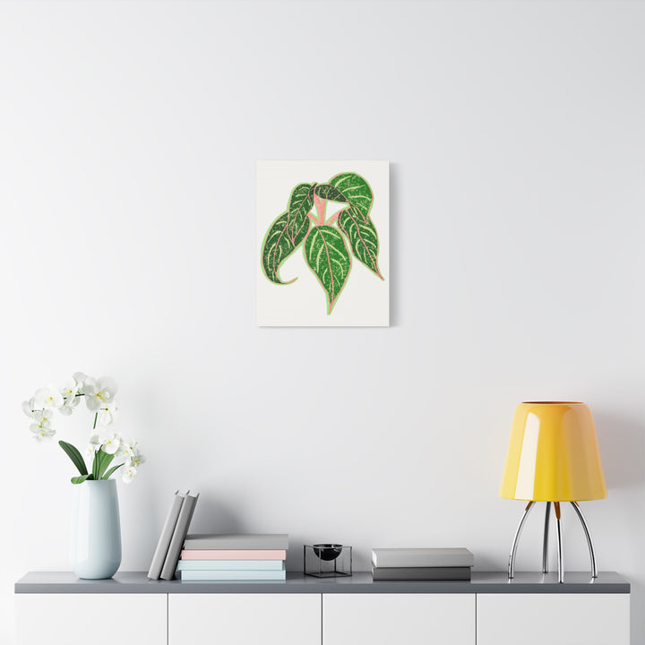 Aglaonema Sparkling Sarah Botanical Canvas Print On Matte Stretch Canvas For Modern Living Room Decor